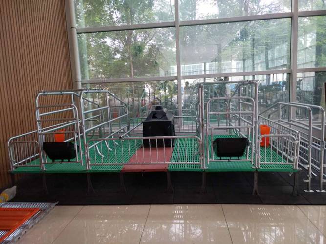 供应畜牧养殖设备小猪食槽复合漏粪板母猪食槽限位栏产床厂家
